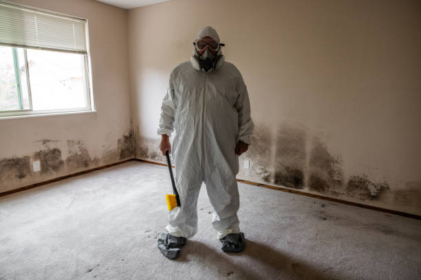 Best Emergency Mold Remediation in Ruskin, FL